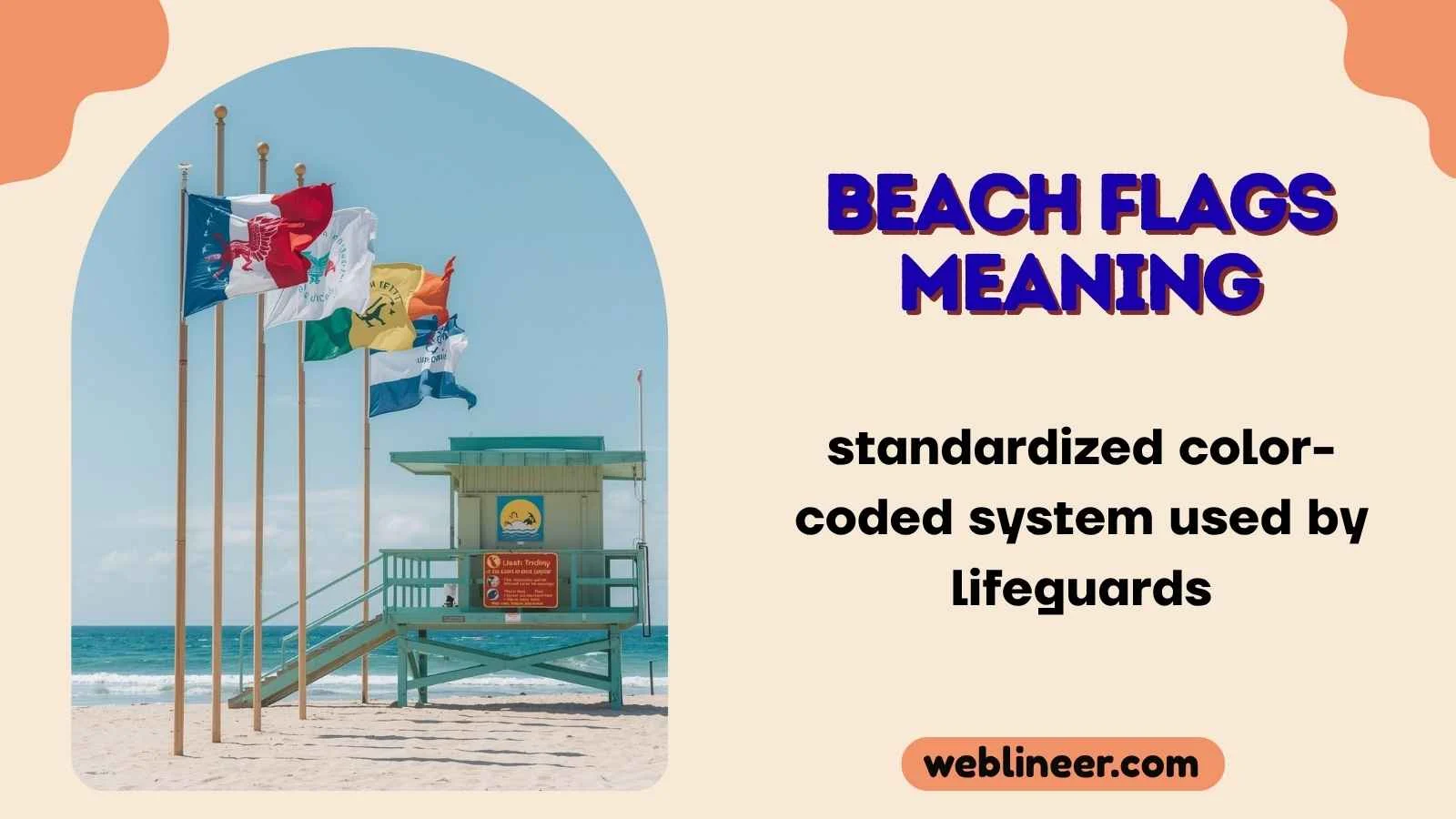 Beach Flags Meaning: Complete Guide to Safety Colors (2026)