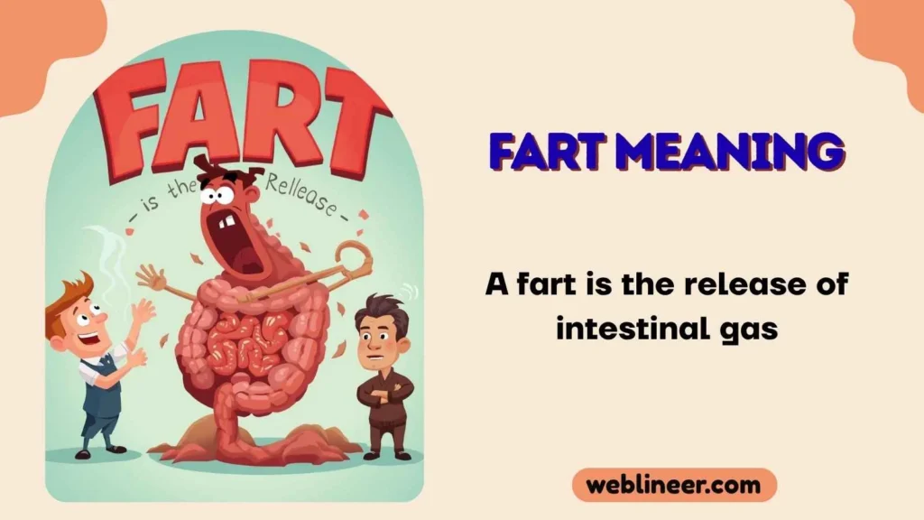 fart meaning