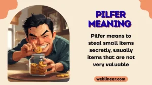 Pilfer Meaning