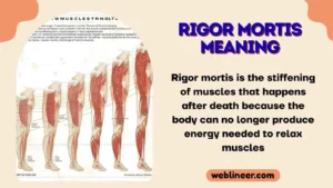 Rigor Mortis Meaning