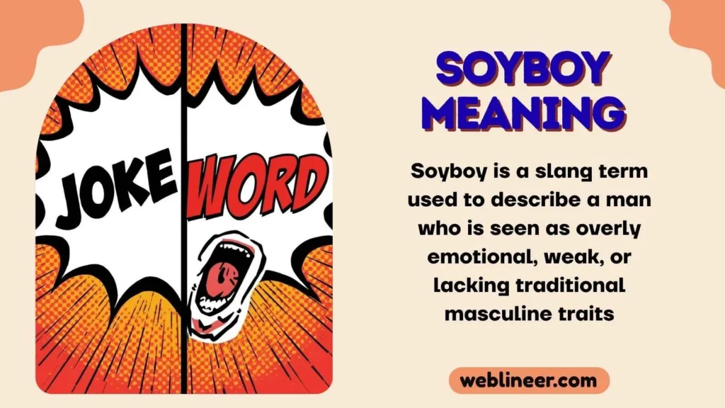 soyboy meaning