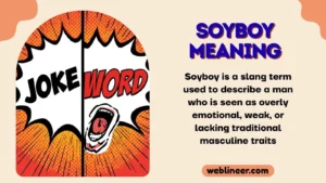 soyboy meaning