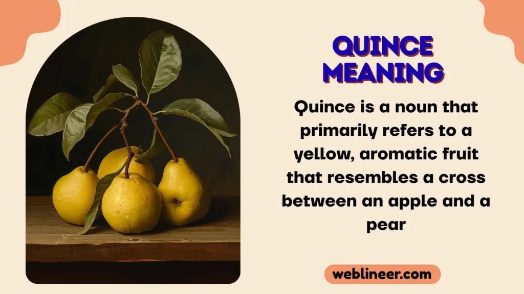 Quince Meaning